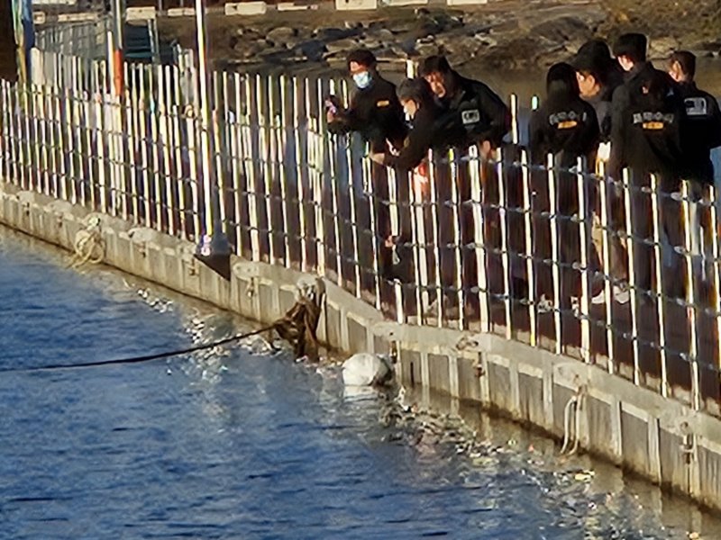 6일 오후 강원도 화천 북한강 일대에서 여자 군무원을 살해한 뒤 북한강에 시신을 유기한 현역 육군 장교의 현장 검증이 열리고 있다.2024.11.6/뉴스1 ⓒ News1 한귀섭 기자