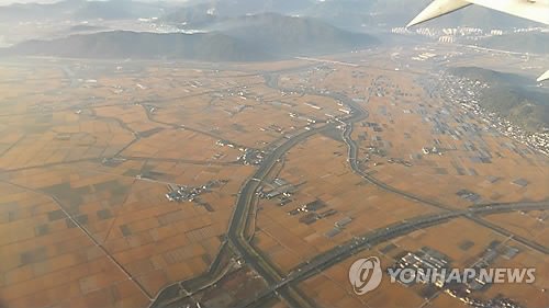 '드넓은 김해평야' 이제 옛말…논벼 10년 전보다 1천244㏊ 줄어 - 파이낸셜뉴스