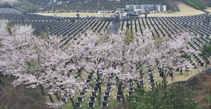 3일 제76주년 4·3희생자 추념식 봉행에 앞서 제주시 봉개동 제주4·3평화공원 행방불명인 묘역에서 유족들이 희생자의 넋을 기리고 있다.(제주도사진기자회) 2024.4.3/뉴스1 ⓒ News1 오현지 기자