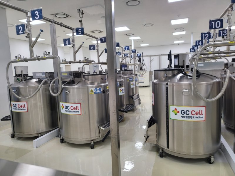 지씨셀이 제대혈 보관에 활용 중인 보관 탱크가 용인 셀센터 지하 1층에 늘어서 있다. 2024. 11. 12/뉴스1 황진중 기자