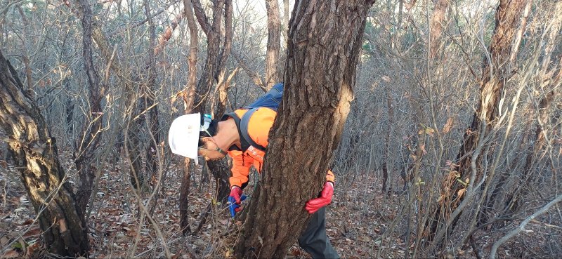 [양산=뉴시스] 양산시가 소나무림에 예방나무주사를 하고 있다. (사진=양산시 제공). 2024.11.05. photo@newsis.com *재판매 및 DB 금지