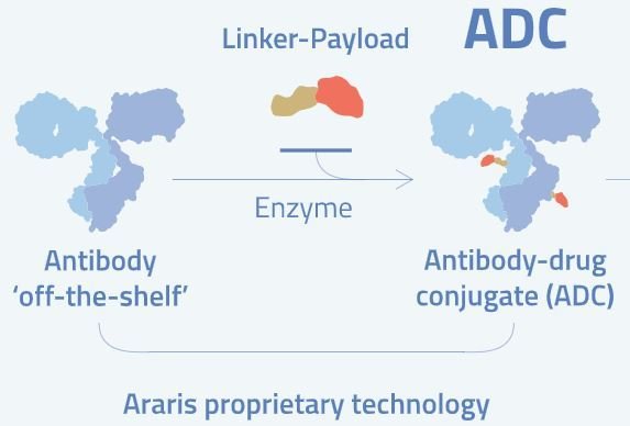 아라리스 바이텍이 보유한 항체약물접합체(ADC) 링커 기술.(아라리스 바이오텍 제공)/뉴스1 ⓒ News1