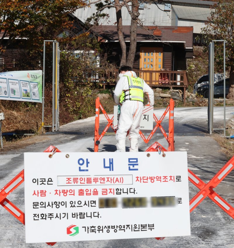 지난 18일 오후 H5형 조류인플루엔자 항원이 확인된 인천 강화군의 한 육용종계 농장 입구에서 가축위생방역지원본부 관계자들이 외부인의 출입을 통제하고 있다. 뉴시스