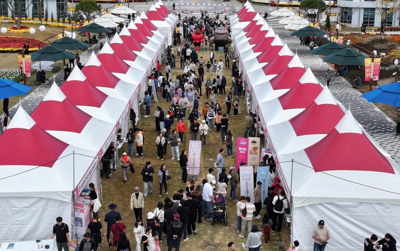 지난해 11월 전북 순창 발효테마파크에서 열린 '2024 순창 떡볶이 페스타'. 사진=뉴시스