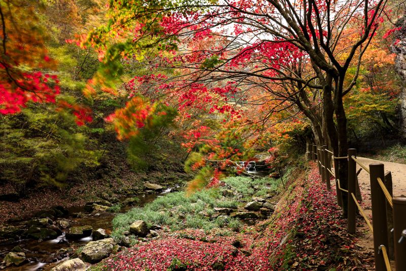 전북 순창 강천산 계곡 한식진흥원 제공