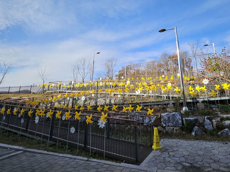 지난 19일 세월호 참사 10주기를 맞아 희생자를 추모하는 '노랑드레 언덕'을 부평 인천가족공원에서 강화도에 위치한 인천시교육청난정평화교육원의 평화정원으로 이전 설치했다. 인천시교육청난정평화교육원 평화정원으로 이전 설치한 '노랑드레 언덕' 전경. 인천시교육청난정평화교육원 제공.