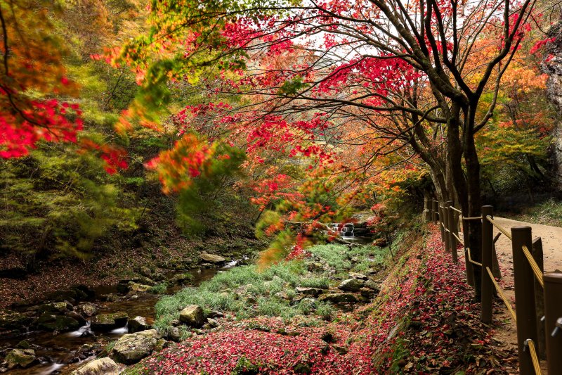 전북 순창 강천산 계곡. 한식진흥원 제공