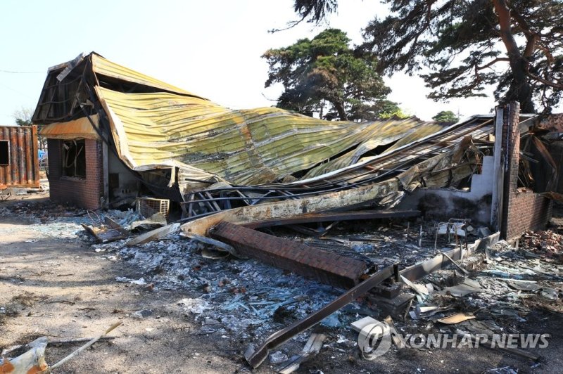 막막한 산불피해 복구 (출처=연합뉴스)