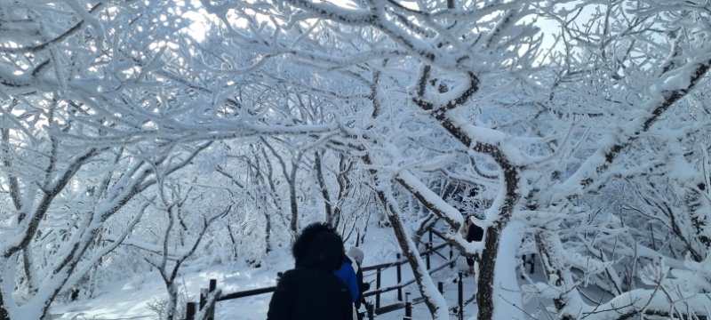 최근 내린 눈으로 23일 전북 무주 덕유산 등산로가 아름다운 설경을 자아내고 있다. 2023.12.23/뉴스1 ⓒ News1 김동규 기자