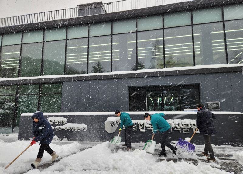 28일 전국 곳곳에 대설특보가 발효된 가운데 한국수목원정원관리원 심상택 이사장(왼쪽 두번째)과 임직원들이 강원도 평창 국립한국자생식물원에서 한파 대비 제설작업을 펼치고 있다.