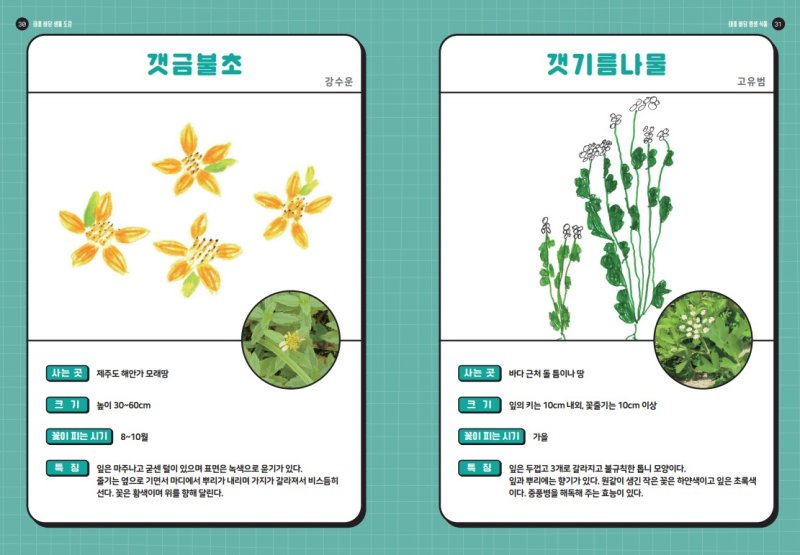 제주 태흥초등학교 학생들이 만든 태흥 바당 생물 도감.(태흥초 제공)