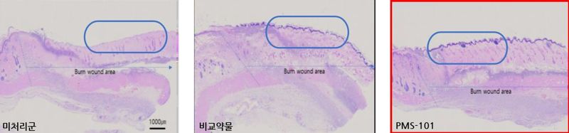 강스템바이오텍 제공