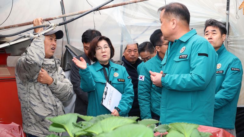 김보라 안성시장이 폭설로 피해를 입은 딸기 재배 피해농장을 방문했다. 안성시 제공