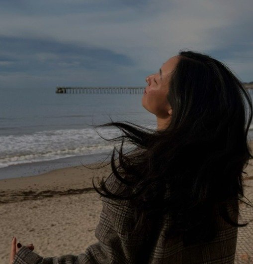 다니엘 헤니, 14세 연하 루 쿠마가이와 해변 데이트 '달달' [N샷]