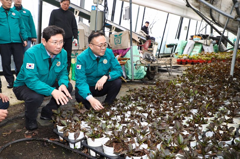 이상일 시장(왼쪽)과 이한경 행정안전부 차관이 지난 1일 폭설 피해를 입은 처인구 남사읍 진목리의 한 화훼농가에서 피해 상황을 살펴보고 있다. 용인시 제공