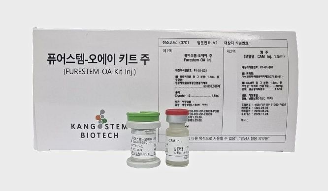 오스카(OSCA)는 골분화능이 탁월한 ‘제대혈 유래 중간엽줄기세포’와 연골분화 미세환경을 조성하는 ‘무세포성 연골기질’을 혼합 투여해 줄기세포의 연골재생효능을 극대화한 융복합제제다. 무릎관절강 내 주사 단회투여를 통해 무릎 골관절염의 근본적 치료를 목표로 한다. 강스템바이오텍 제공