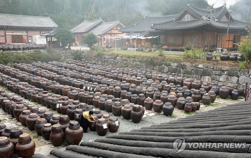 전남 담양군 장고에 장 익어가는 1천200여개 장독 가득 (출처=연합뉴스)