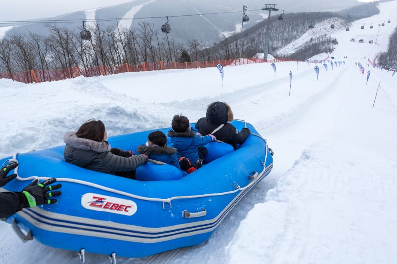 설원 위 은빛 질주... "스키어는 올겨울도 행복하네"
