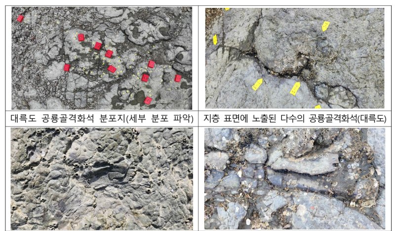 전라남도 여수시 대륵도에서 발굴된 공룡골격화석. 국가유산청 제공