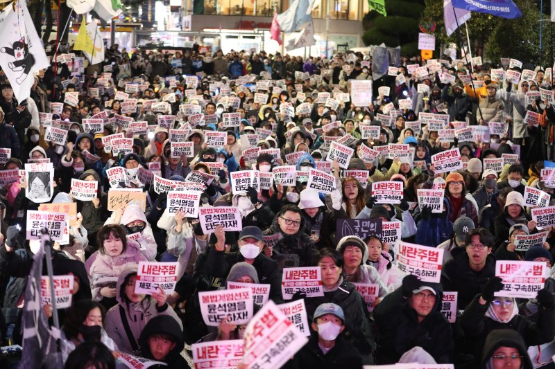 "민주묘총에 깜빡 속았네요"…여의도 집회에 등장한 MZ들 '해학·재치'