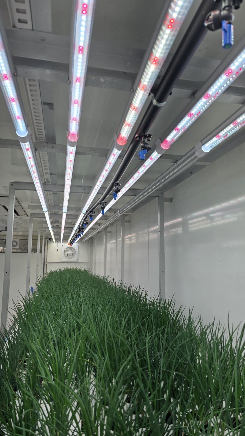 [대전=뉴시스] 이엔후레쉬의 쪽파 재배용 스마트팜 컨테이너 내부 모습. *재판매 및 DB 금지