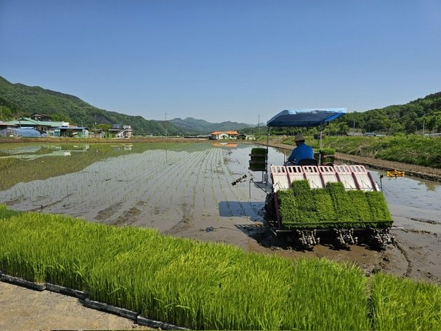 [보은=뉴시스] 보은군 농작업 대행 서비스 모습. (사진=보은군 제공) photo@newsis.com *재판매 및 DB 금지