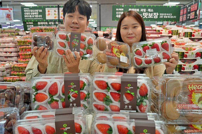 은향 딸기. /사진=뉴스1