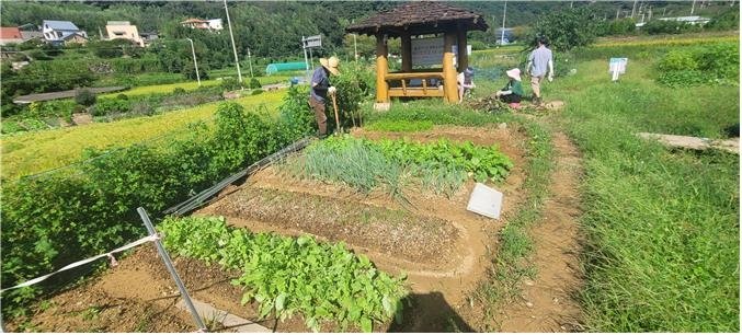 기장군 철마면에 위치한 공영텃밭 모습. 부산시 제공