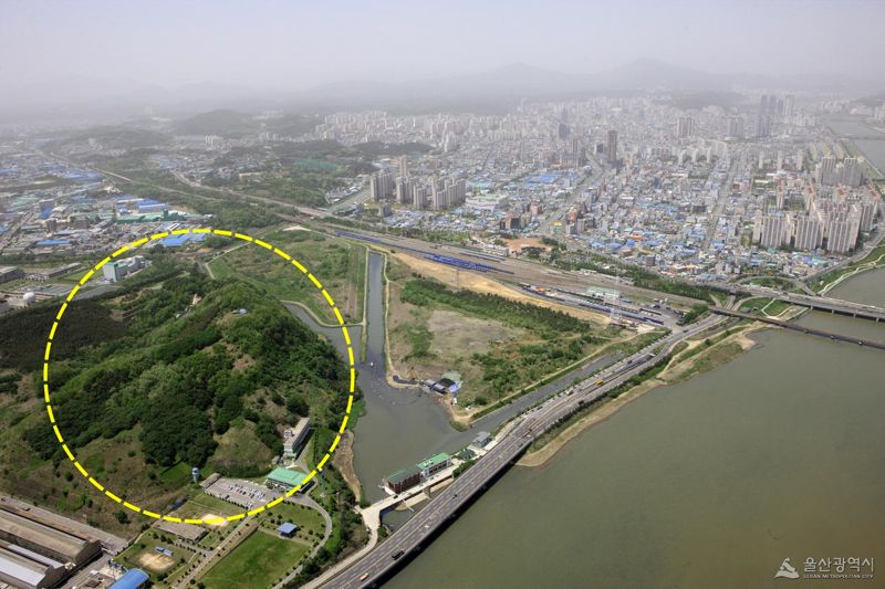 울산 남구 삼산동 돋질산(노란 점선 안)이 환경부의 ‘2025년 도시생태축 복원사업’ 공모에 선정돼 오는 2027년까지 생태 복원 사업이 추진된다. 돋질산은 해발 89.2m의 낮은 산이지만 산세가 좋고 울산석유화학공단과 울산항을 조망할 수 있어 삼성 창업주 고 이병철 회장이 별장을 짓던 곳이었다. 울산시 제공