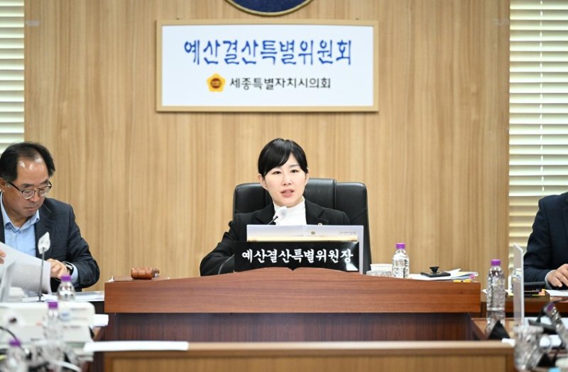 이현정 세종시의회 예결위원장. (세종시의회 제공) / 뉴스1