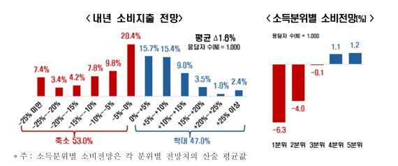 '2025년 국민 소비지출계획 조사' 중 일부. 한국경제인협회 제공. 한국경제인협회 제공