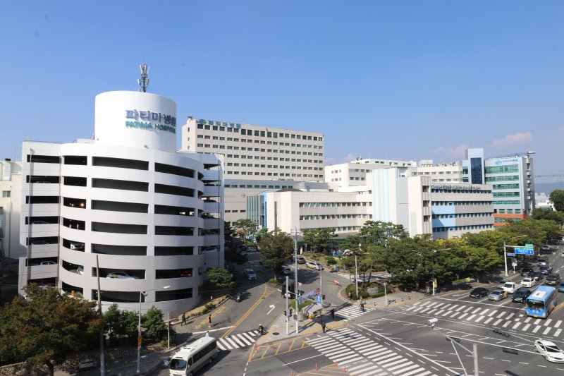 [대구=뉴시스] 대구파티마병원. (사진=뉴시스 DB). photo@newsis.com *재판매 및 DB 금지