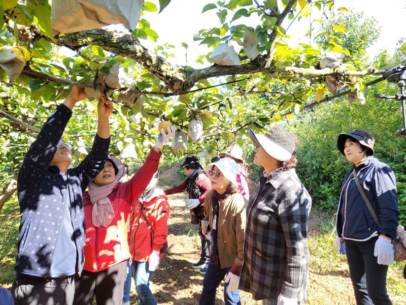 전남도가 올해 175억원을 들여 여성농어업인 8만7000명에게 지급한 '여성농어업인 행복바우처' 사용 시한이 연말로 다가옴에 따라 사용을 서두를 것을 당부했다. 전남도 제공