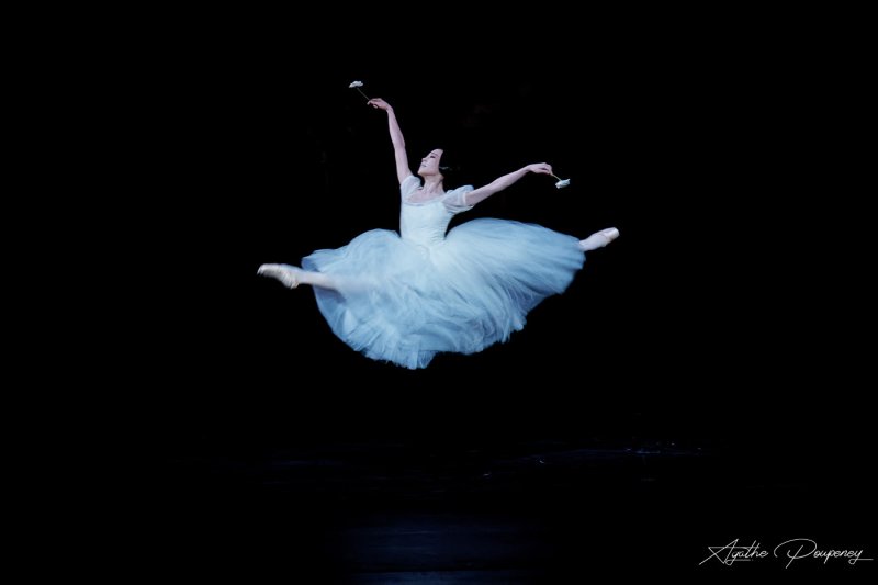 임윤찬, 박세은 예술계 글로벌 스타들의 내한 공연