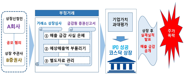 사건 개요. 금융감독원 제공.