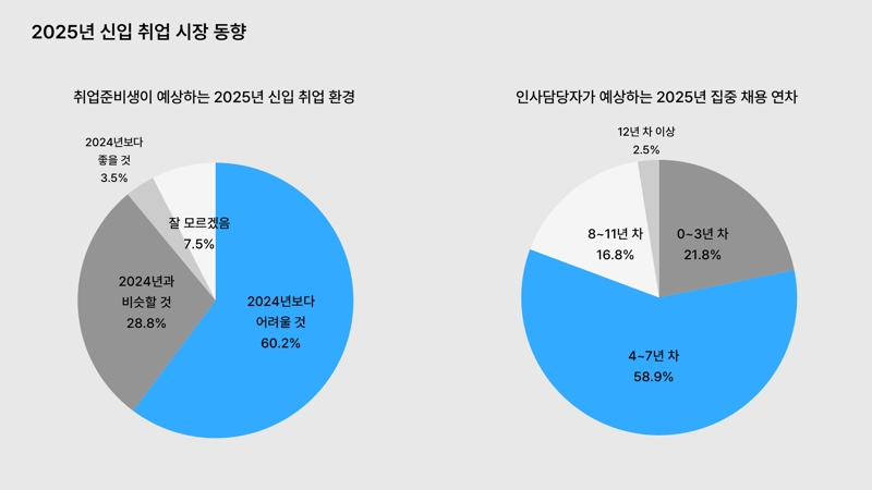 2025년 신입 취업 시장 동향. 원티드랩 제공