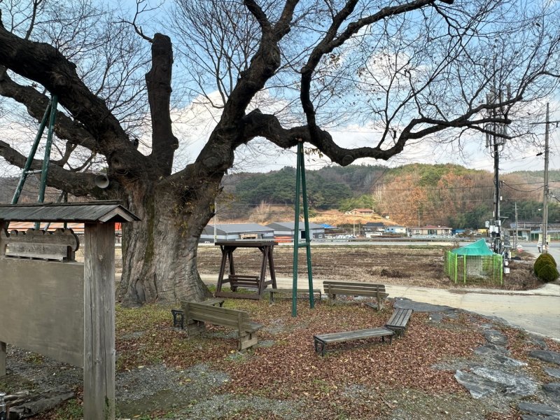 충남 논산시의 한 농촌 마을 입구 모습. 2024.12.2 ⓒ 뉴스1 홍유진 기자