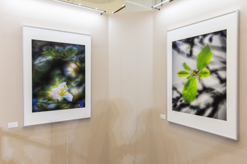 홍콩 유명 배우 저우룬파(주윤발)의 홍콩 하버시티 자선전시회, '홍콩 아침' 눈길