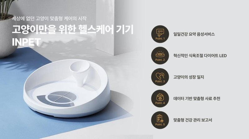 "아프다"고 못하는 댕냥이… 건강신호 미리 챙기자 [Weekend 반려동물]