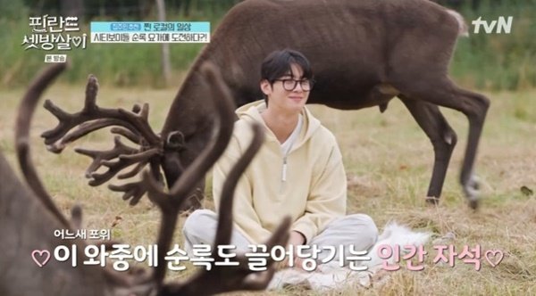 이제훈→차은우, 풀밭에서 순록 요가 도전…라플란드 명물