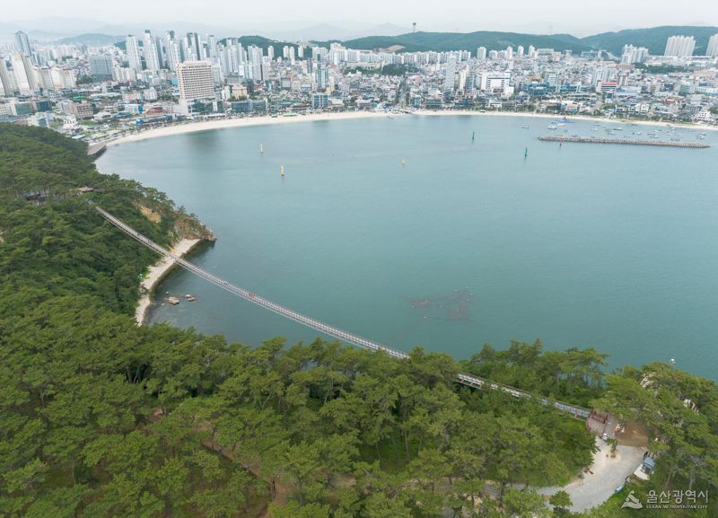 대왕암공원 출렁다리와 일산해수욕장. 울산시 제공