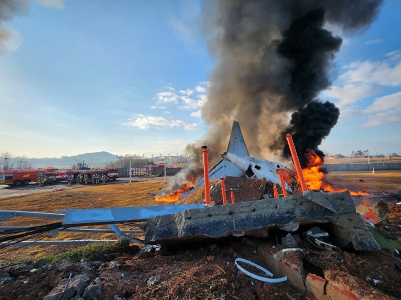 29일 전남 무안국제공항에서 승객과 승무원 181명이 탑승한 제주항공 여객기가 추락하는 사고가 발생했다. 사고가 난 항공기는 태국 방콕에서 출발해 무안으로 입국하던 제주항공 7C 2216편으로 랜딩기어 이상으로 동체착륙을 시도하다 공항 담장에 충돌하면서 대규모 참사로 이어진 것으로 추정되고 있다. 뉴스1