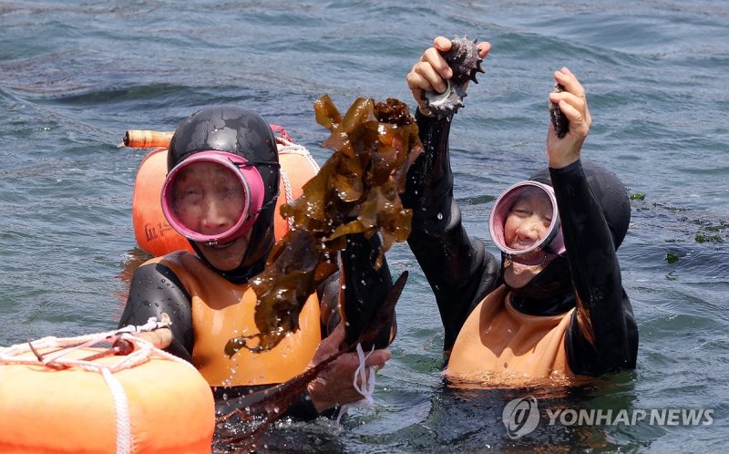 제주 해녀 (출처=연합뉴스)