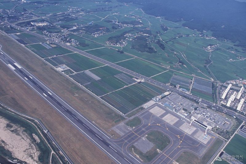 까마귀 수만 마리 날아다니고 활주로는 고작 2km 울산공항 괜찮나