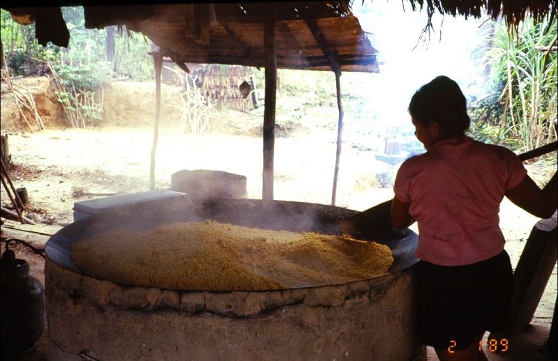 ③만지오카 반죽을 치피치로부터 꺼내 가마에 올려 굽는 과정 / 전경수 교수 제공