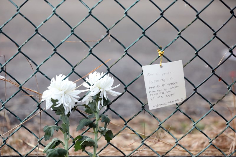 31일 오후 179명이 사망한 제주항공 여객기 참사 사고현장 인근인 무안국제공항 철조망에 추모쪽지가 붙어 있다.2024.12.31뉴스1 ⓒ News1 박지현 기자