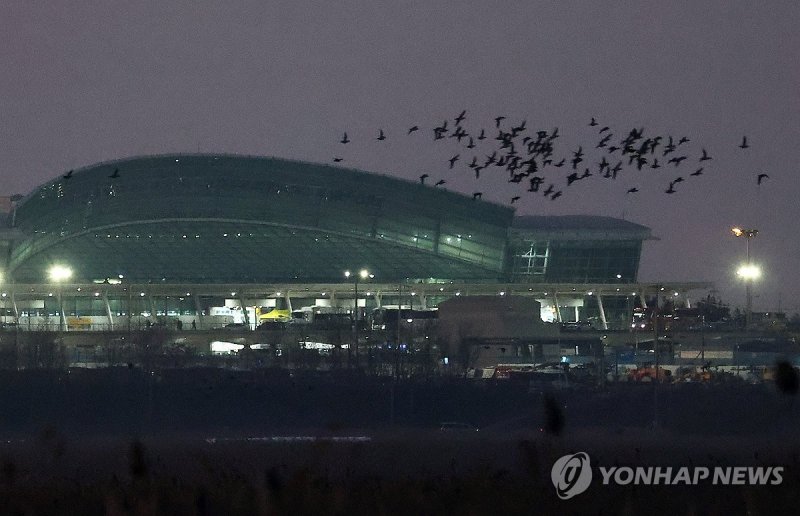 무안공항 7년 조종사 "콘크리트 둔덕 있는지 몰라, 흙더미인줄"