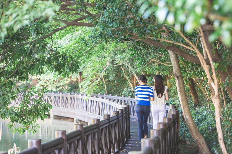 '365일 여행하기 좋은 완도'...완도군, '2025년 완도 방문의 해' 운영