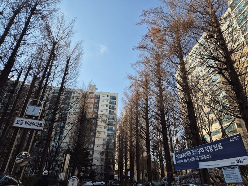 7일 서울 송파구 오금현대아파트 단지 내 재건축 정비구역 지정을 축하하는 현수막이 걸려있다. 사진=연지안 기자