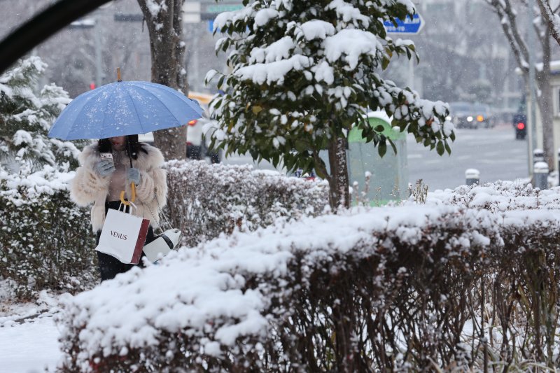 광주와 전남지역에 많은 눈이 예보된 8일 오전 광주 서구 상무지구에 함박눈이 내리고 있다. 뉴스1